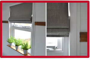 Plants: image 1 0f 4 thumb